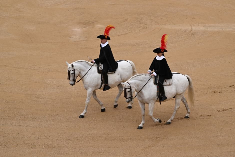 Estepona’s Equestrian Art Festival Set for August 29 at Bullring