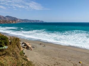 Estepona to Host Free Sardine Feast This Saturday